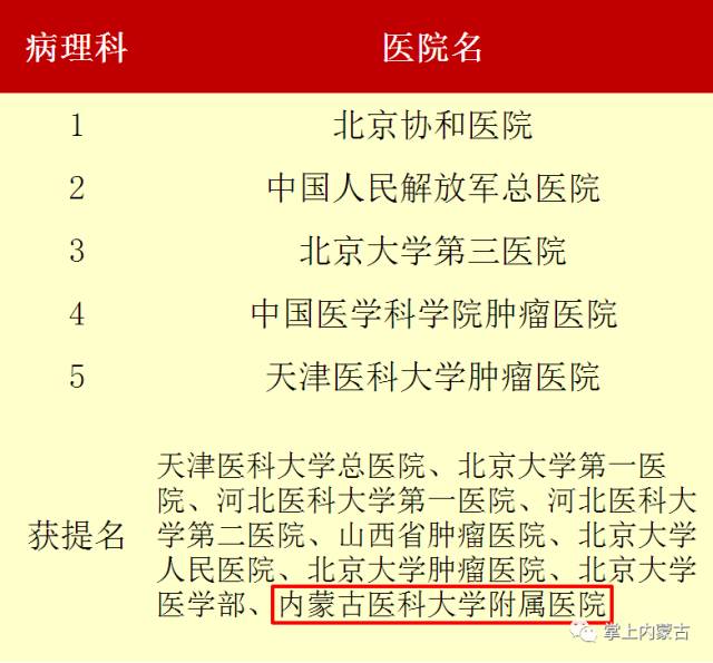 新澳门王中王100期期中,全面释义与最佳精选策略